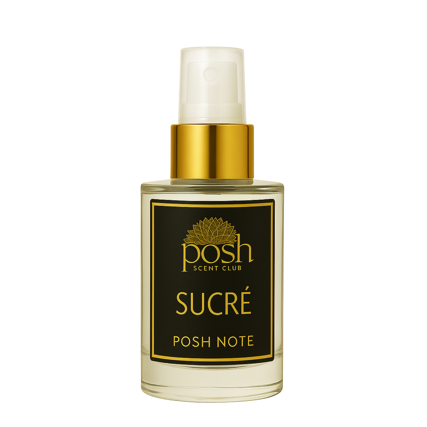 Sucre'