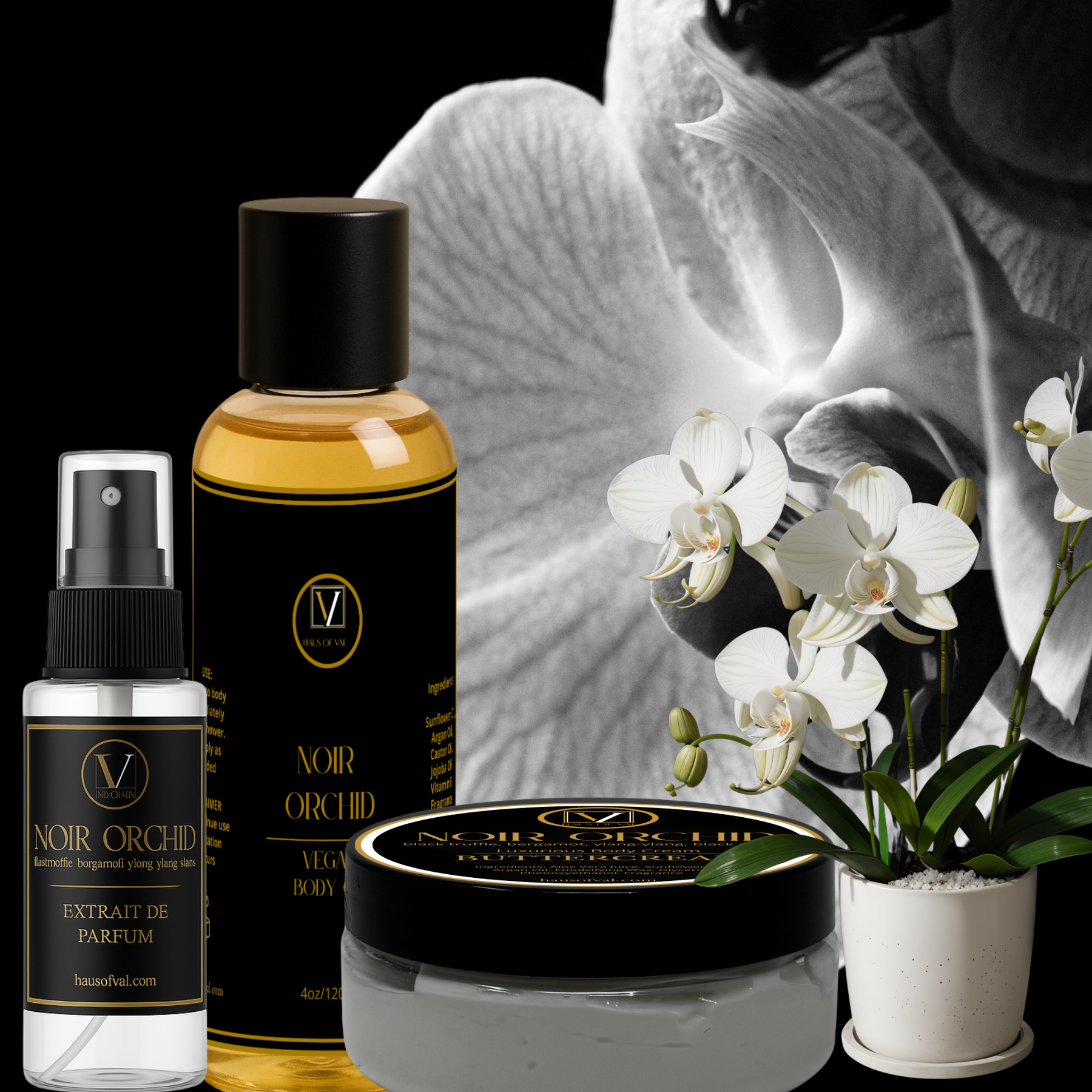 Noir Orchid